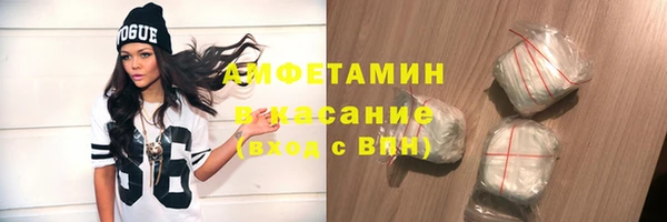 стаф Алексин