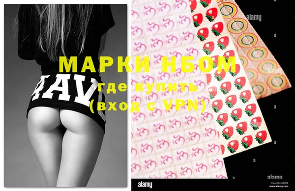 гашик Аркадак
