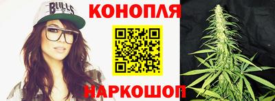 шишки Вышний Волочёк