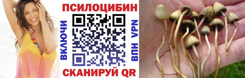 Галлюциногенные грибы GOLDEN TEACHER  Выкса 